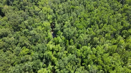 Flying over a forest in Minnesota