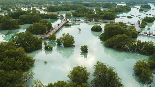 Aerial view of Jubail Mangrove Park, Abu Dhabi, United Arab Emirates.