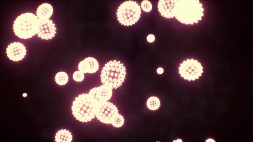 Viruses Under the Microscopic View for Education