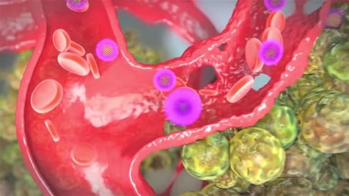 3D Animation of Blood Vessel Blockage and Cellular Interaction
