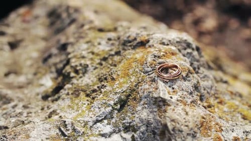 Two Wedding Rings in Infinity Sign