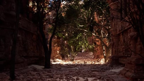 Une ruelle étroite avec des arbres et des rochers de chaque côté