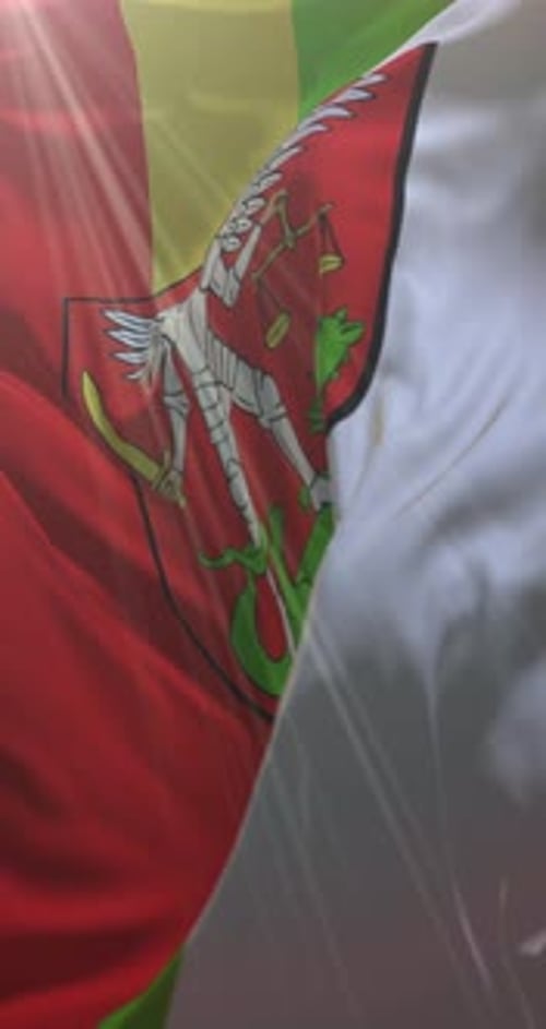 Flag of Biala Podlaska