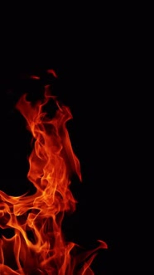 Top part of the burning campfire. Beautiful fire flames reaching into the air.