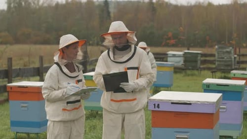 Apicultores inspeccionando el colmenar