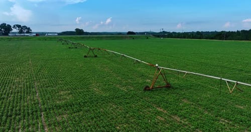 Green field with the construction for irrigating the crops. Agricultural concept.