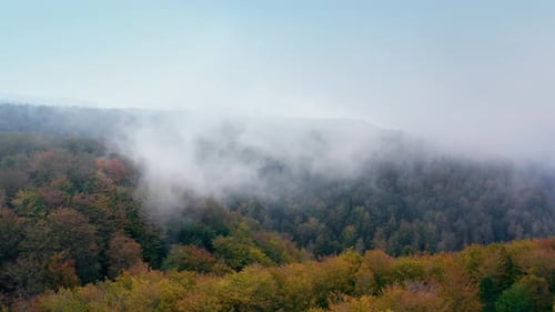 Autumn Mountain with Mist and Trees in the Europe