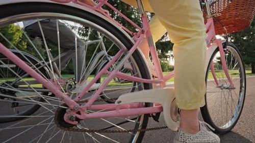 Bicycles Riding on Path Through Park on Sunny Day