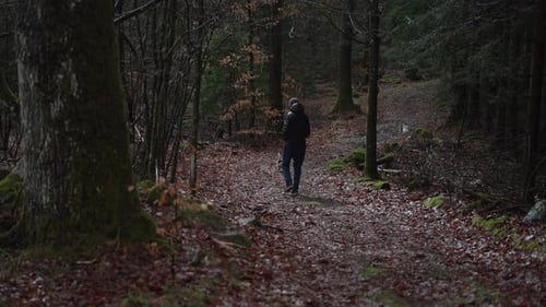 Man walks with his jack russel on a footpath in the rural forest