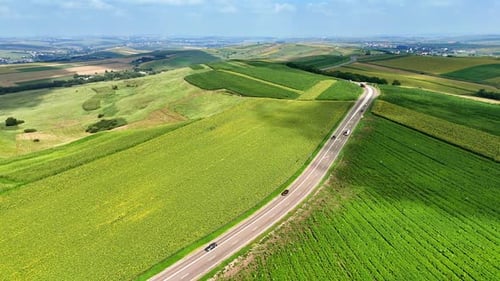 Scenic countryside road surrounded by lush green fields.