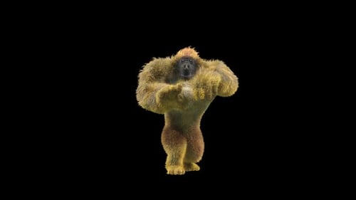 11 Gorilla tanzt HD
