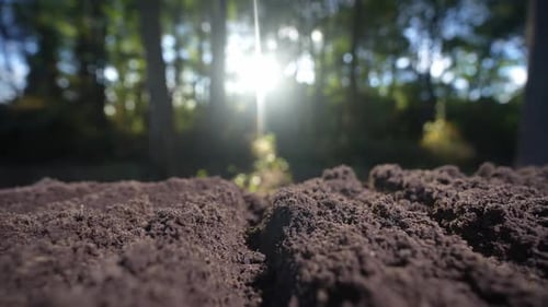 Fruchtbarer Boden mit natürlichem Erdhintergrund, landwirtschaftliches Feld mit kultiviertem Bodenkompost und