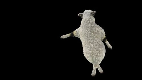 Cute Dancing Sheep Animation with Alpha Channel