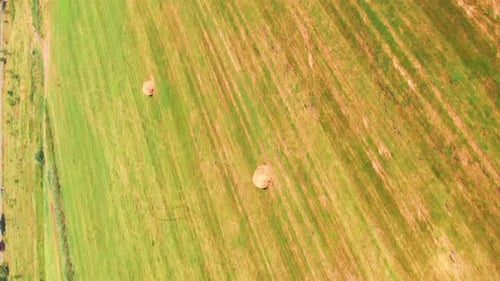 Aerial View of Hay Bales on Green Field