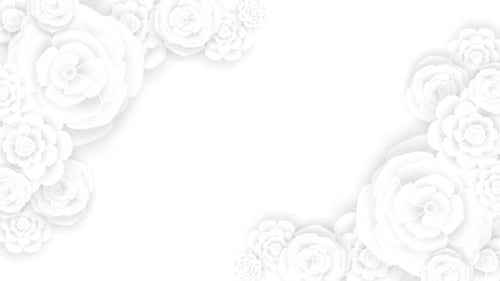 Clean White Flower Animation Background Video