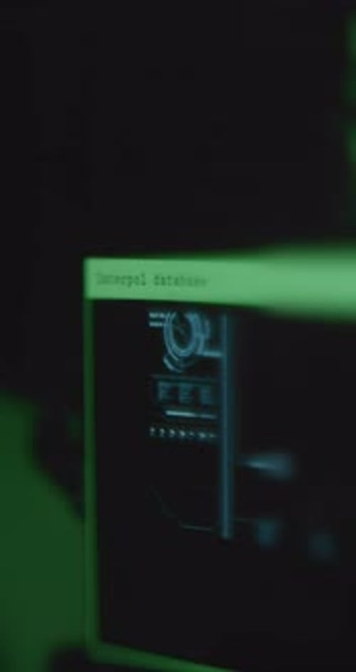 Digital Interface Displaying Interpol Database Data