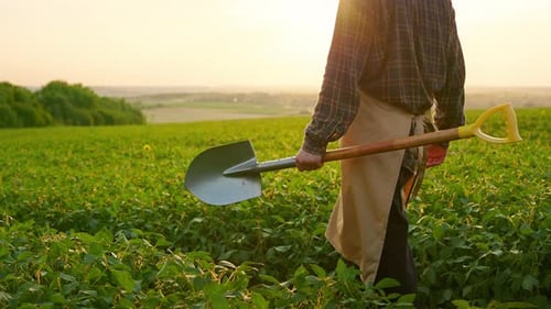 Männlicher Bauer geht mit Spaten auf ein Feld und gräbt