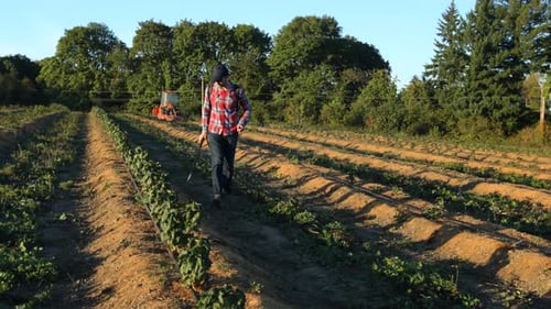 Farmers Working in Field Agricultural