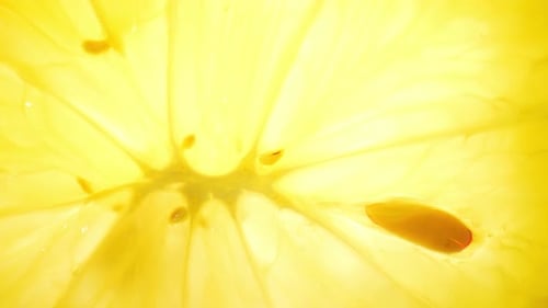 Bright Yellow Lemon Slice Close-Up
