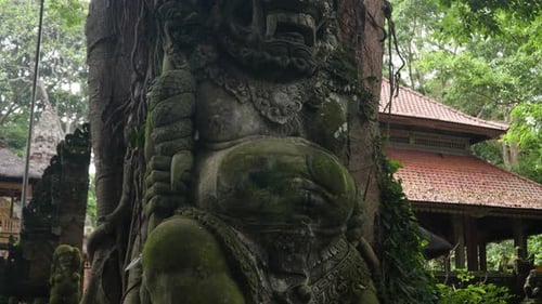 Moss-covered Sculpture By The Tree At Sacred Monkey Forest Sanctuary In Bali, Indonesia. closeup, as
