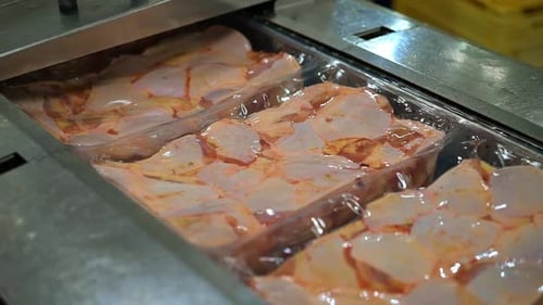 Meat Portions Packaged on Food Processing Line