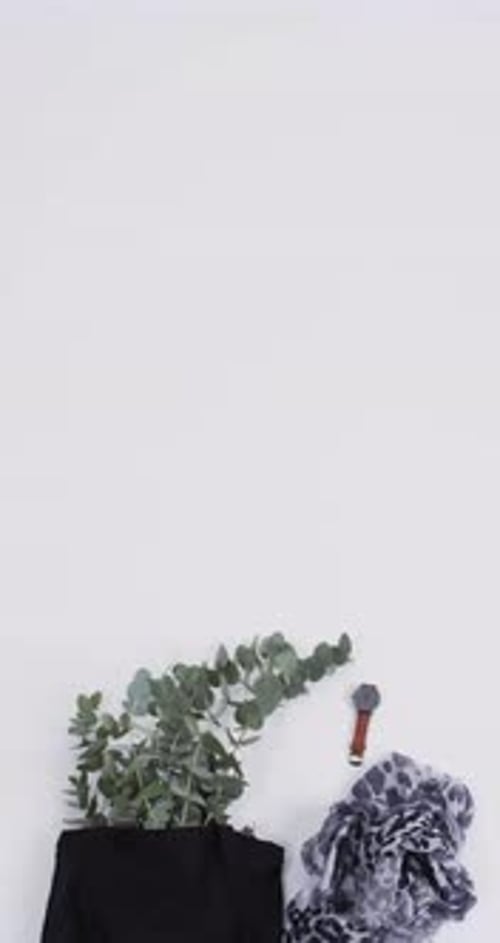 Vídeo vertical de bolsa de lona negra con planta, bufanda, reloj, espacio para copiar sobre fondo blanco
