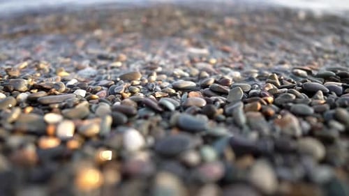 Closeup Pebbly Beach and Water Surface of a Clear Calm Sea