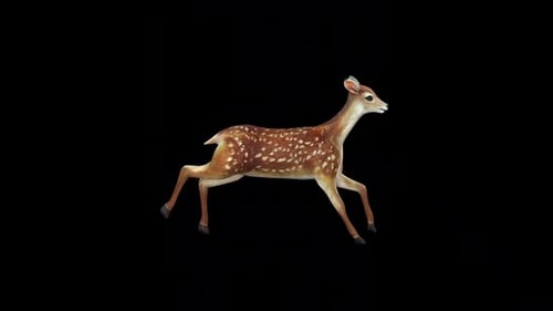 Deer Run