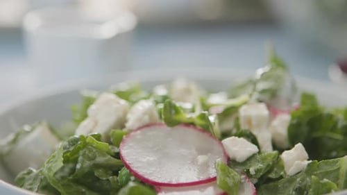 Fresh Salad with Radishes, Cheese, and Greenery