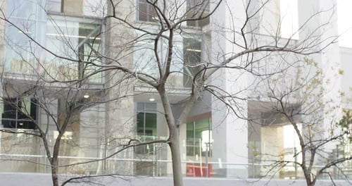 When camera is panning upward and tilting, showing tree branches against facade, revealing floors