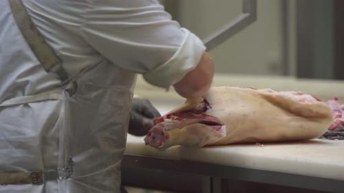 At the Factory a Worker Professionally Separates the Bone From the Meat