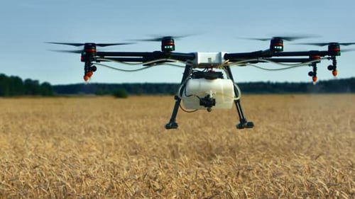 Drone Spraying A Field Of Wheat