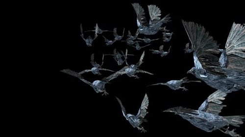 20 Crow Bird Bat Flying HD