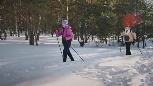 Happy Senior Man and Woman Skiing along Snowy Track in Forest