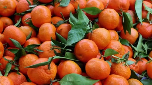 Ripe oranges for sale on a market stall. Truck right to left.
