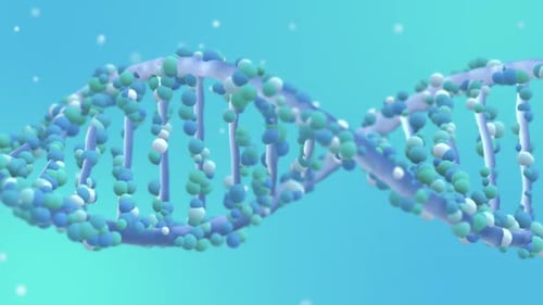 Animated Looping DNA Double Helix Structure for Science and Medical Projects