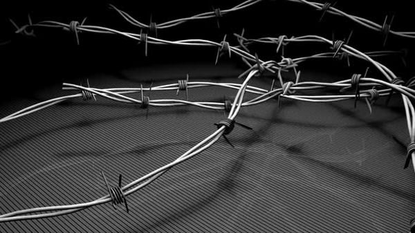 Growing Barbed Wire Barrier Animated Loop Backgrounds Motion Graphics growing-barbed-wire-barrier-animated-loop-backgrounds-motion-graphics