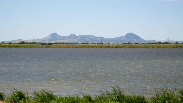 Sutter Buttes and Flooded Agricultural Rice Field, Buildings Stock ...