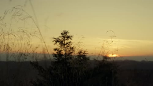 Blick auf den Sonnenuntergang auf die natürliche Berglandschaft. Kiefern wachsen auf Hügeln in