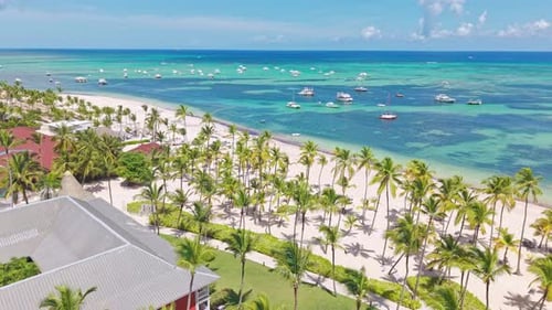 Amazing Drone View of Caribbean Beach, Turquoise Water, and Palm Trees
