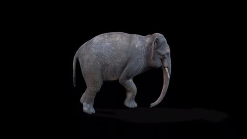 Realistic 3D Elephant Walking Cycle Animation