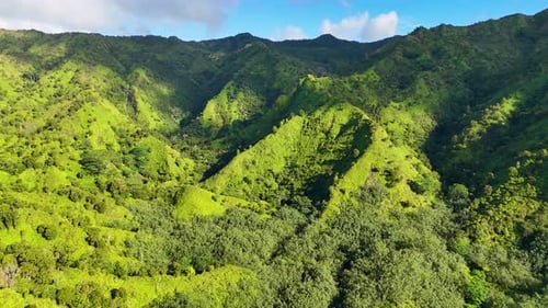 Aerial view of lush green mountains, United States.