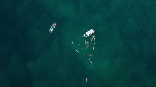 Aerial view, top-down shot of a snorkeler near a boat in the clear waters of Komodo Island