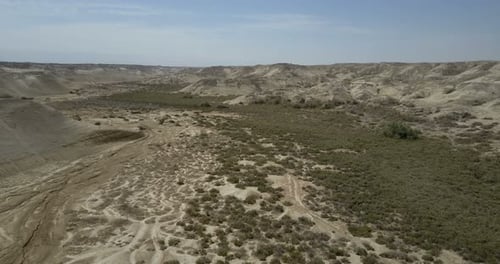 Desert flight