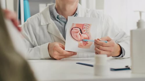 Un jeune homme européen déguisé en travailleur médical montre un modèle de fœtus chez le médecin