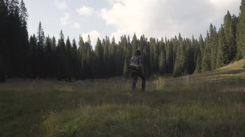 Adult Hiker Walking Across Grassy Meadow, Trees in Background
