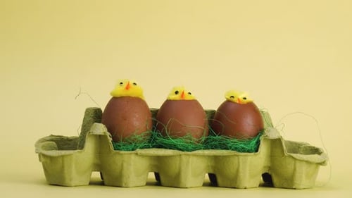 Baby Chicks Hatching from Eggs on Yellow Background