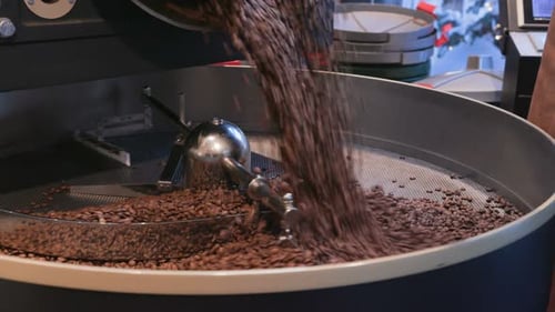 Roasted Coffee Beans Being Poured into Roasting Machine