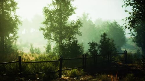 A Wooden Fence Surrounded By Lush Green Trees in a Peaceful Forest Setting