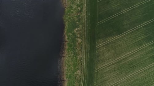 River crossing green fields. Aerial top-down ascending directly above